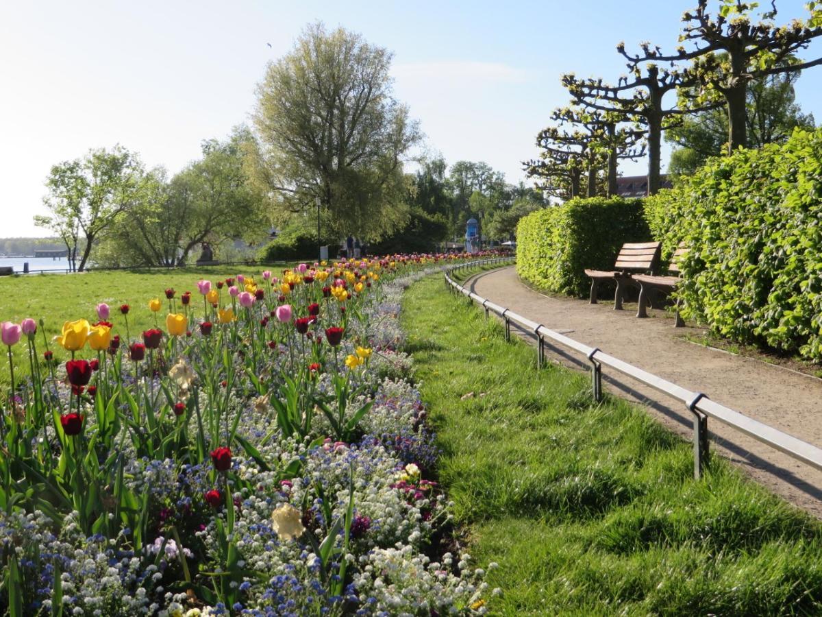 Ferienwohnungen "Marie" Mit Terrassen, Inclusive Park- Und Stellplaetze Am Haus, Mueritz-Strand Nur 700M, Altstadt 10Min, Ruhige Lage, Варен Екстер'єр фото